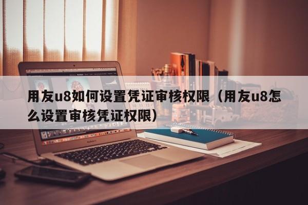 ����u8�������ƾ֤���Ȩ�ޣ�����u8��ô�������ƾ֤Ȩ�ޣ�