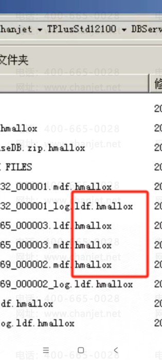 Hmallox